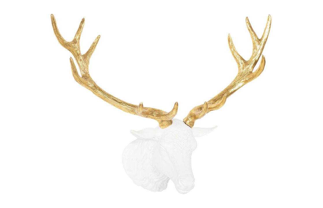 Stag Deer Head