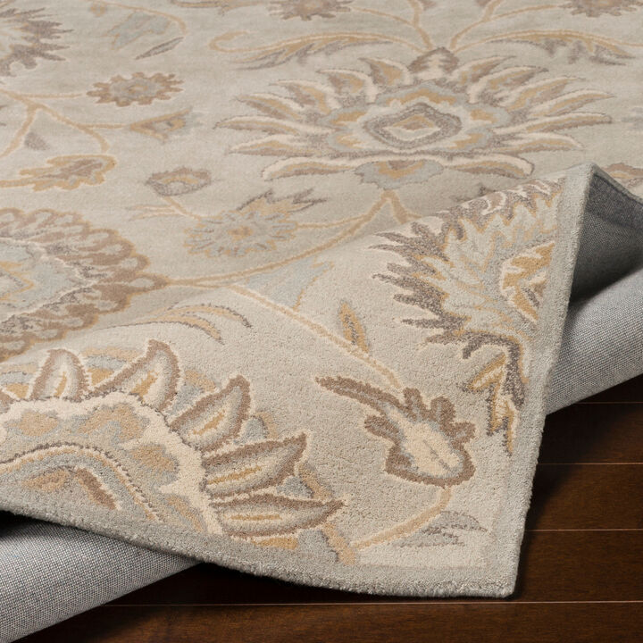 Caesar CAE-1192 2' x 3' Gray Rug