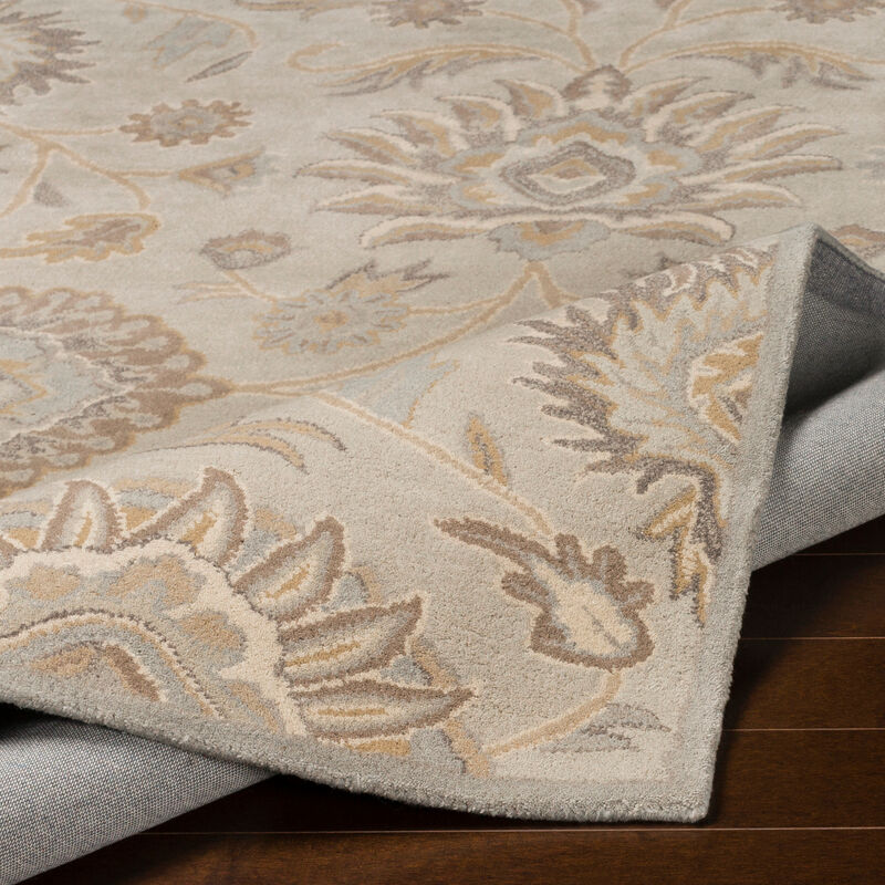 Caesar CAE-1192 10' x 14' Gray Rug