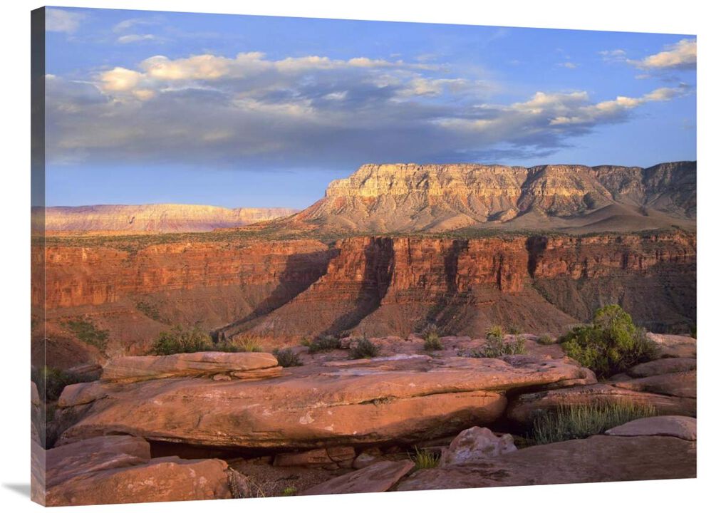 Aubrey Cliffs from Toroweap Overlook, Grand Canyon National Park, Arizona-Canvas Art-40x30