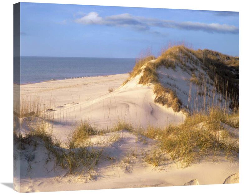 Coastal sand dunes, Saint Joseph Peninsula, Florida-Canvas Art-30x24.9