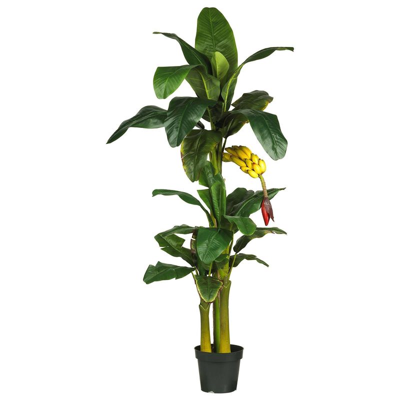 Nearly Natural 6-ft Triple Stalk Banana Tree