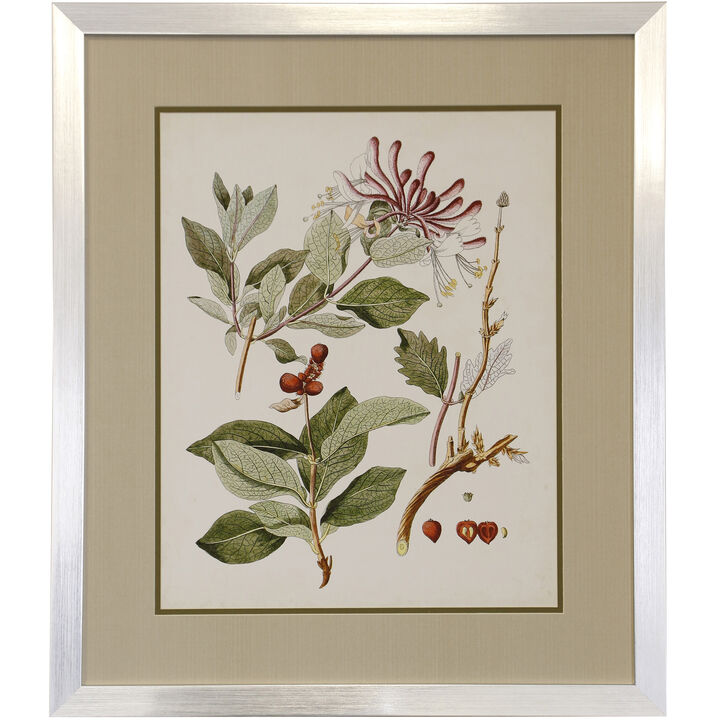 Flowering Trees