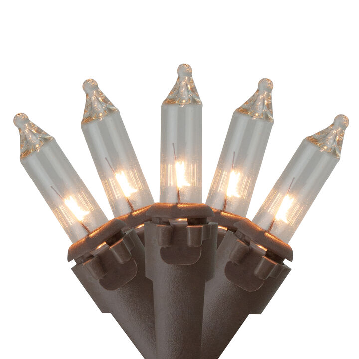 10 Count Clear Mini Christmas Light Set  5.5 ft Brown Wire