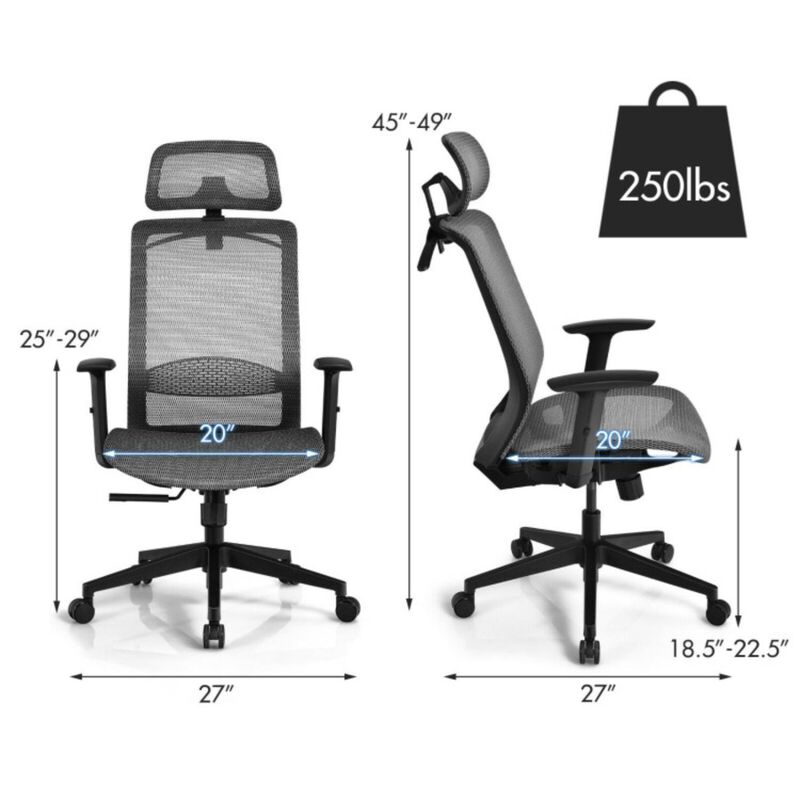 Hivvago Height Adjustable Ergonomic High Back Mesh Office Chair with Hange