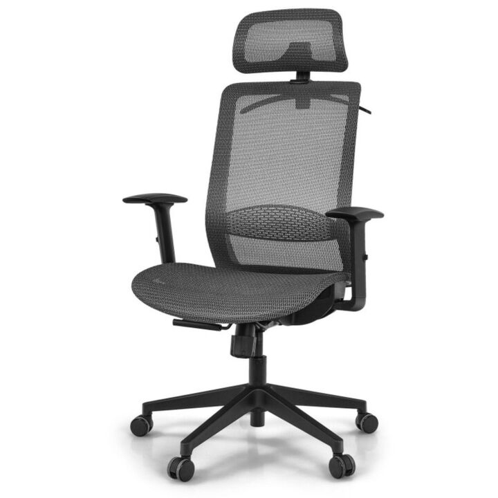 Hivvago Height Adjustable Ergonomic High Back Mesh Office Chair with Hange