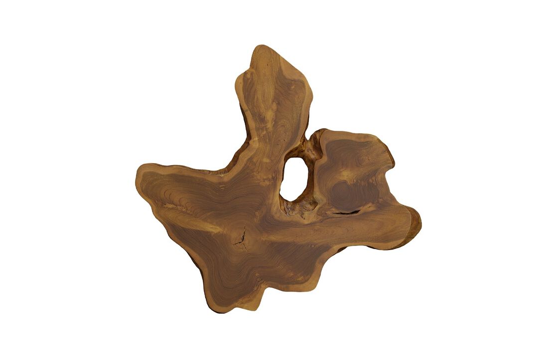 Freeform Teak Wall Slice