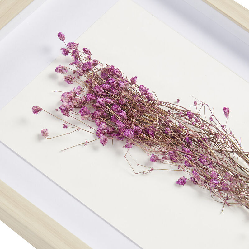 Streamdale Avant Garden Dried Flower 2-Piece Shadow Box Wall Decor Set