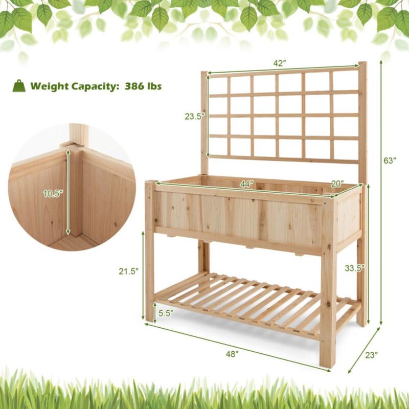 Hivvago Raised Garden Bed Elevated Wooden Planter Box with Trellis