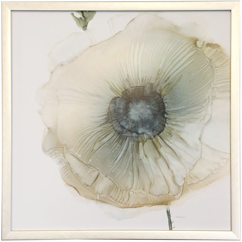 Iridescent Poppy II
