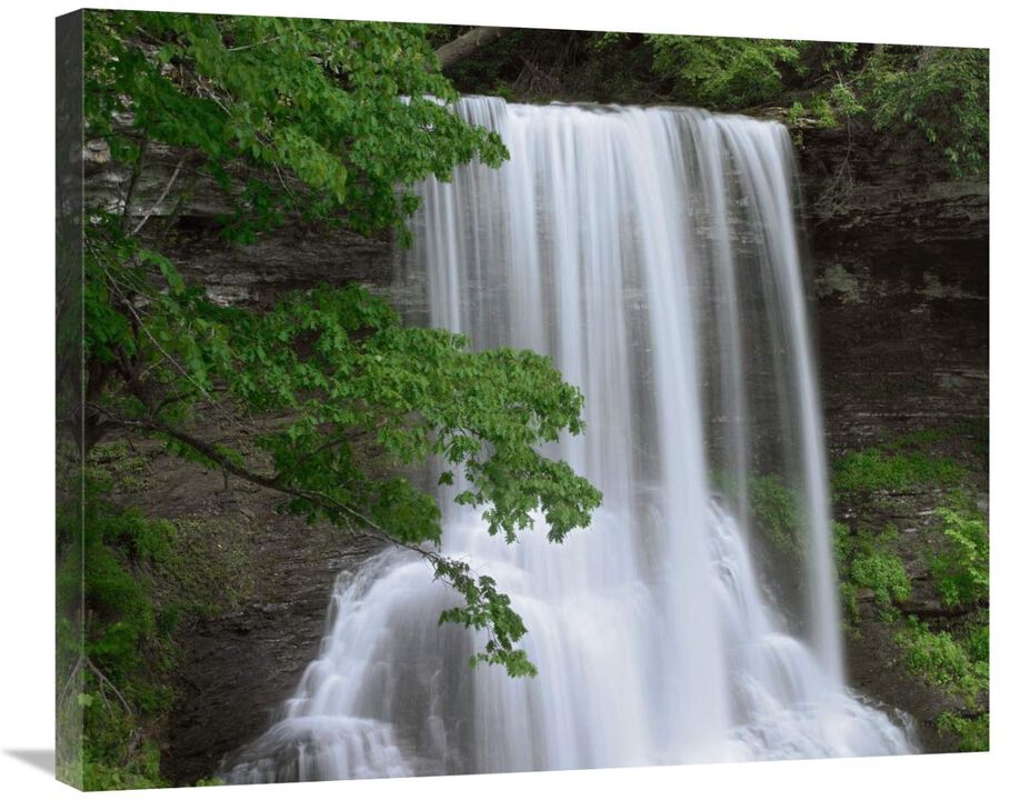 Cascading waterfall in Jefferson National Forest, Virginia-Canvas Art-30x24.9