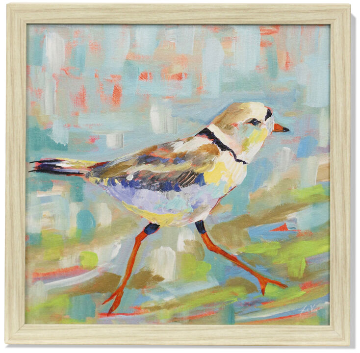 Coastal Plover II Framed Print