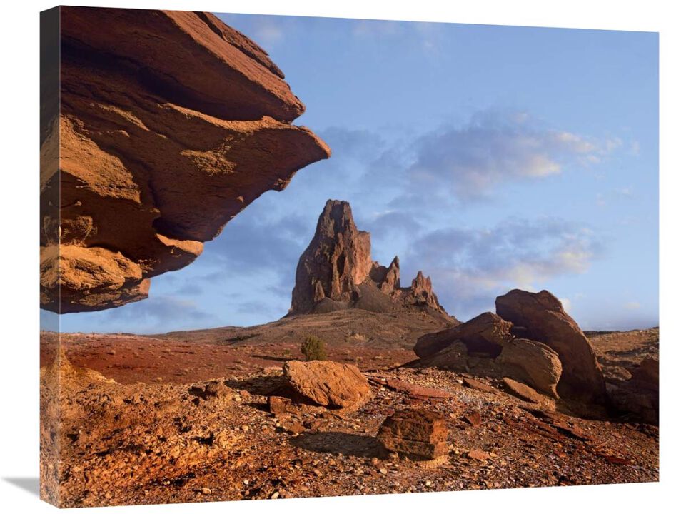 Rock formation, Monument Valley, Arizona-Canvas Art-28x22