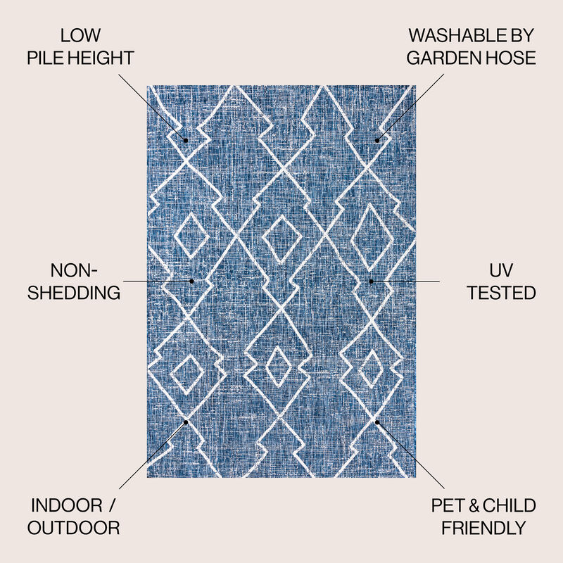Carwa Tribal Diamond Trellis Indoor/Outdoor Area Rug