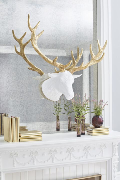 Stag Deer Head