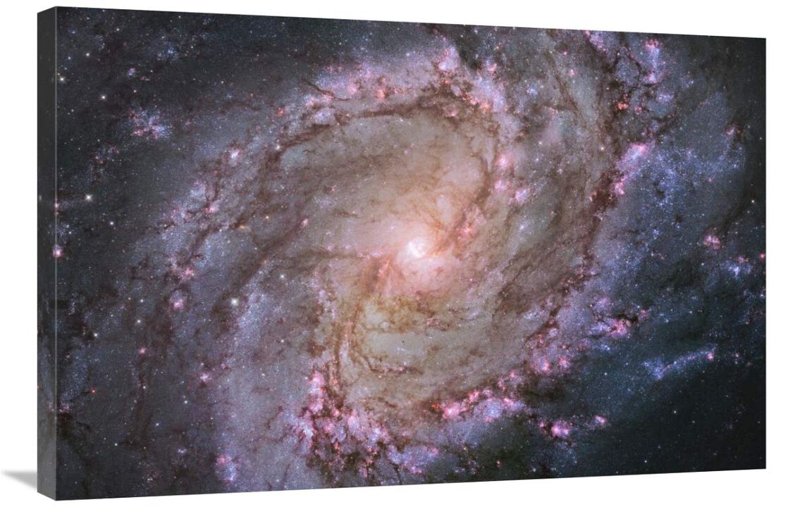 M83 - Spiral Galaxy-Canvas Art-36x24