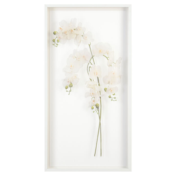 Study Of Orchids II