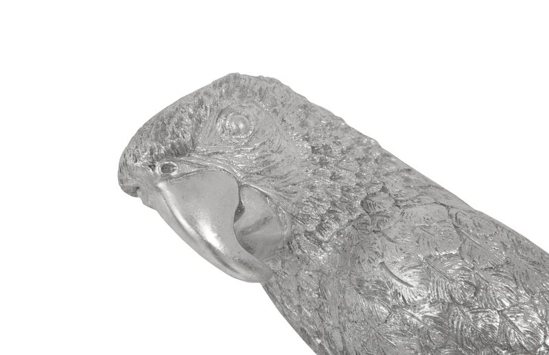 Parrot Looking Left Wall Art