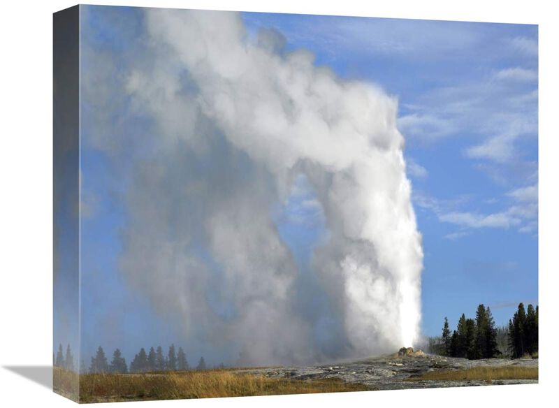 Old Faithful geyser spouting, Yellowstone National Park, Wyoming-Canvas Art-16x13.28