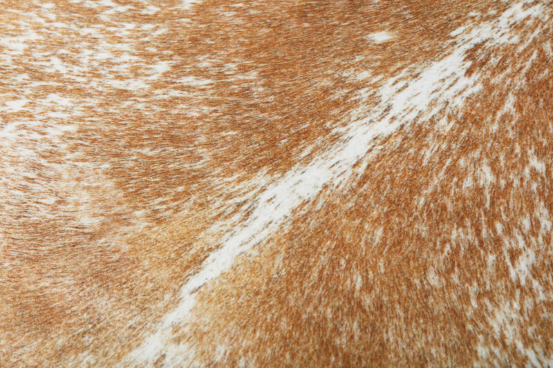 Floor Pillows FP0002 by Loloi, Set of Two