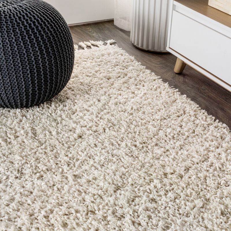Mercer Shag Plush Tassel Area Rug