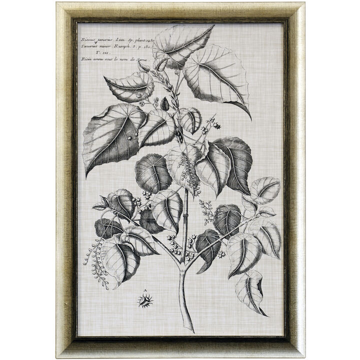 BLACK & OATMEAL BOTANICAL VI