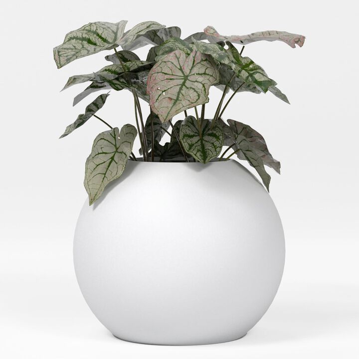 Greenline Fiberglass Nala Large Indoor/Outdoor Globe Planter - 24 in x 24 in x 19 in - Gloss White