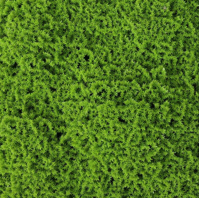 Faux Evergreen Moss Mat 40" x 20" 5.5 SQFT UV Resistant Commercial Grade UV Resistant