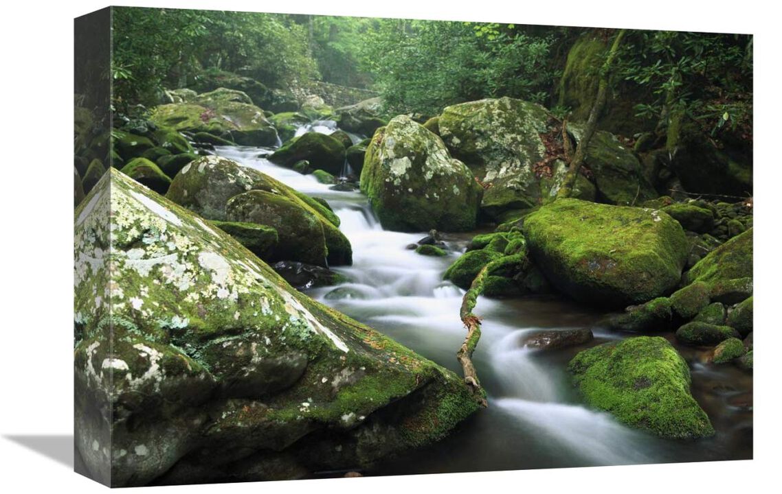 Roaring fork river, Great Smoky Mountains National Park, Tennessee-Canvas Art-16x12