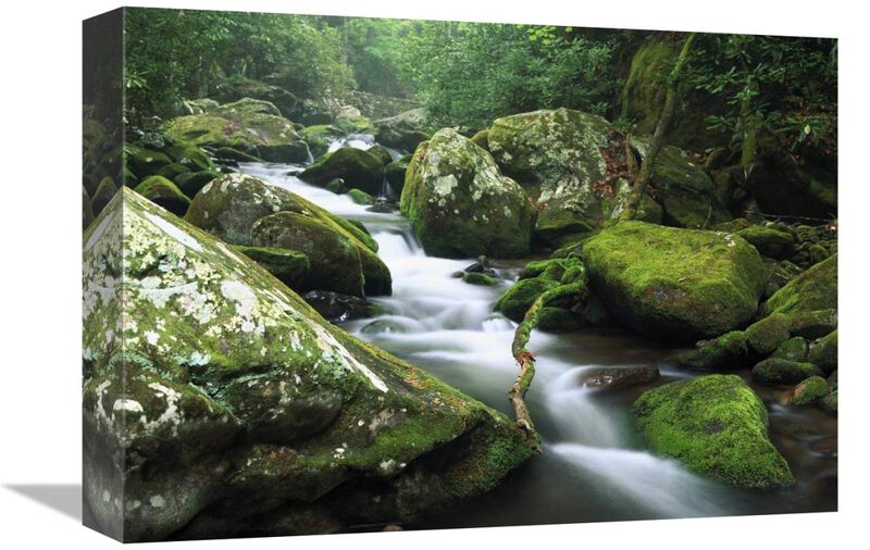 Roaring fork river, Great Smoky Mountains National Park, Tennessee-Canvas Art-16x12