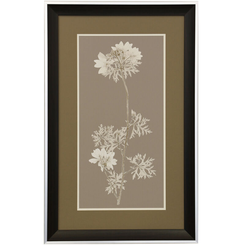 Taupe Natural Study II