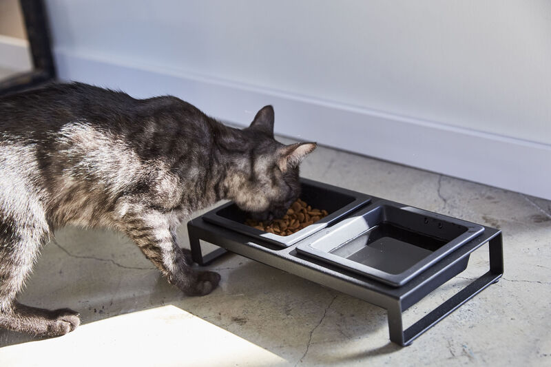 Pet Food Bowl - Two Styles