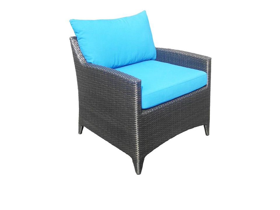 Savana Club Chair w/ cushions