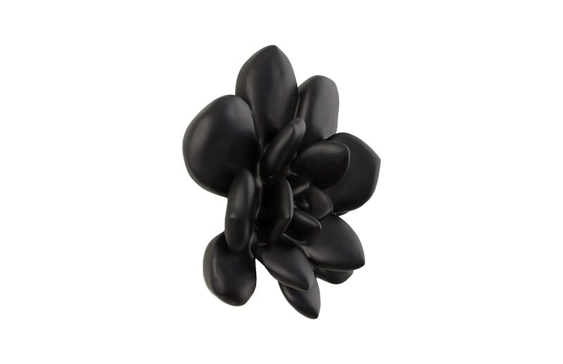 Laui Succulent Wall Art in Matte Black