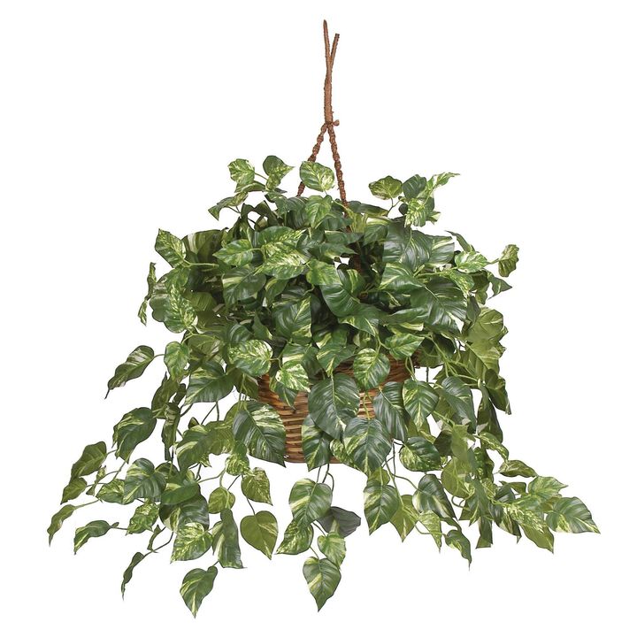 Nearly Natural Pothos Hanging Basket