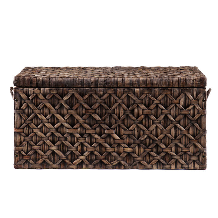 Darley   Storage Trunk