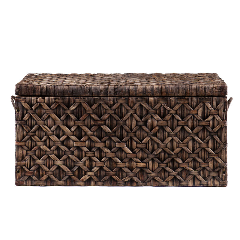 Darley   Storage Trunk