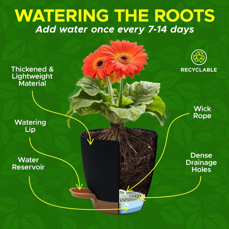 Campior Self-Watering Planters - 5 Size Indoor and Outdoor Plant Pots with Drainage Holes and Wick Rope, Plastic Pot for Succulents, Flowers, and Plants, (7”,6.5”,6”,5.5”,5” Inches), Pack of 20, Black