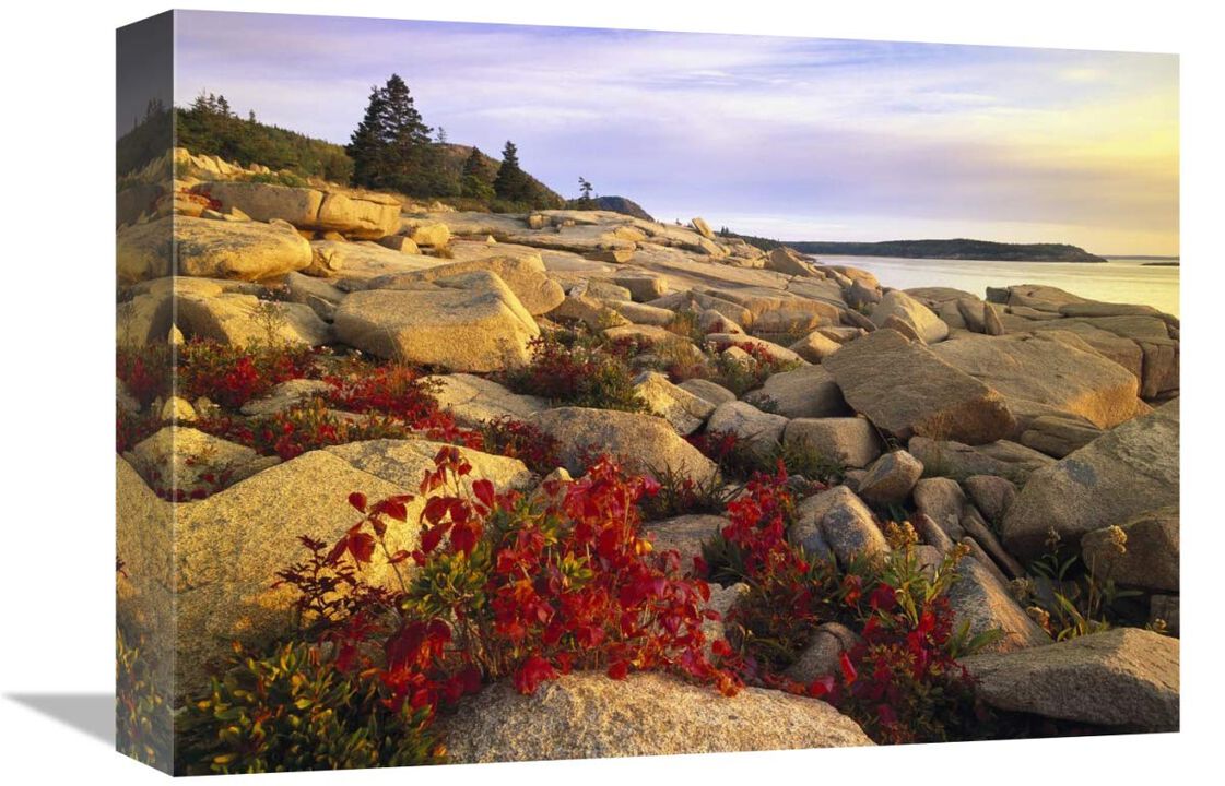 Atlantic coast near Thunder Hole, Acadia National Park, Maine-Canvas Art-16x12