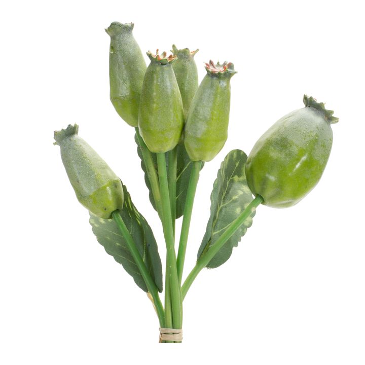 Set of 6 Green Poppy Pod Foliage Bundles for Unique Floral Arrangements and Decor