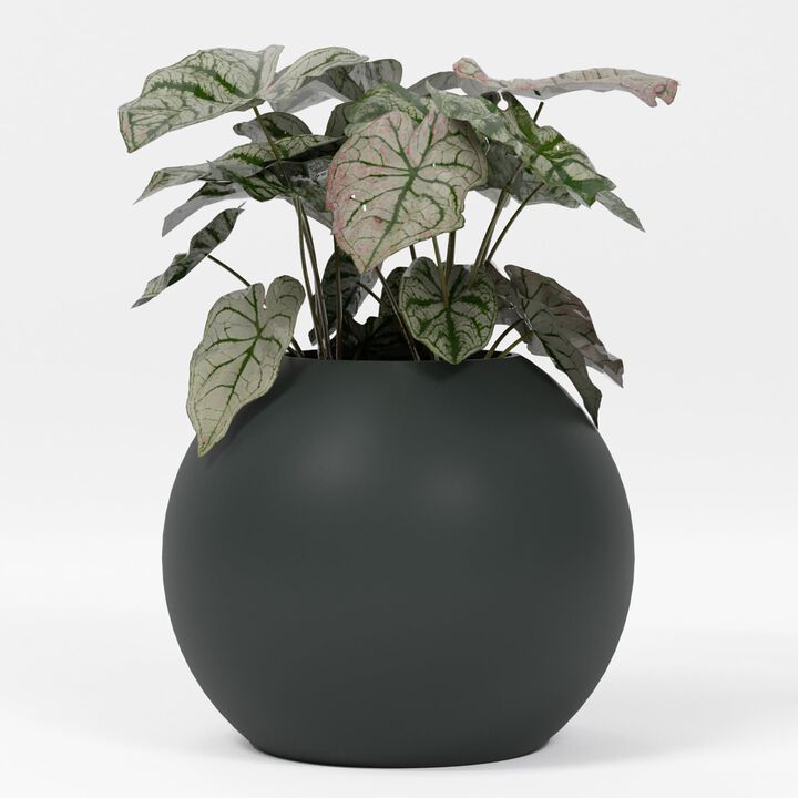 Greenline Fiberglass Nala Large Indoor/Outdoor Globe Planter - 24 in x 24 in x 19 in - Gloss White