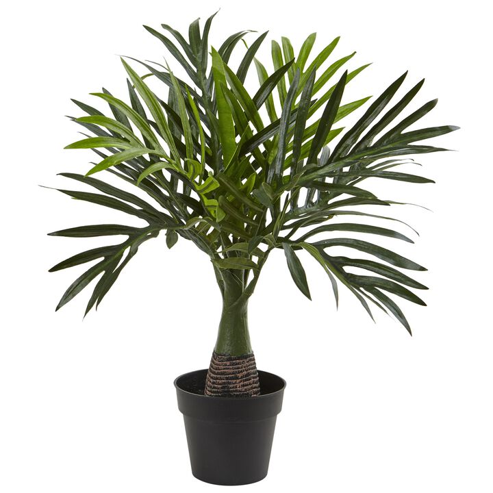 Hivvago Areca, Fountain & Banana Palm (Set of 3)