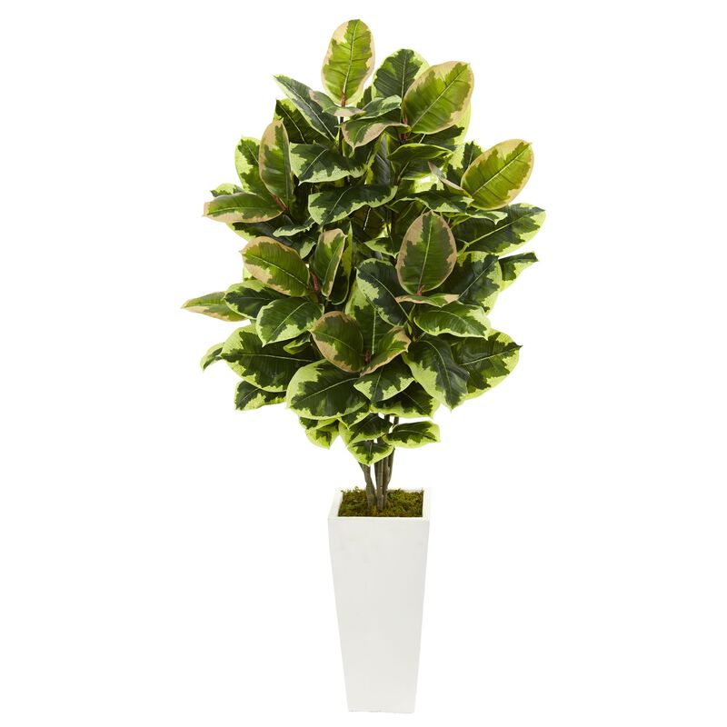 Hivvago Variegated Rubber Leaf Artificial Plant in White Tower Vase