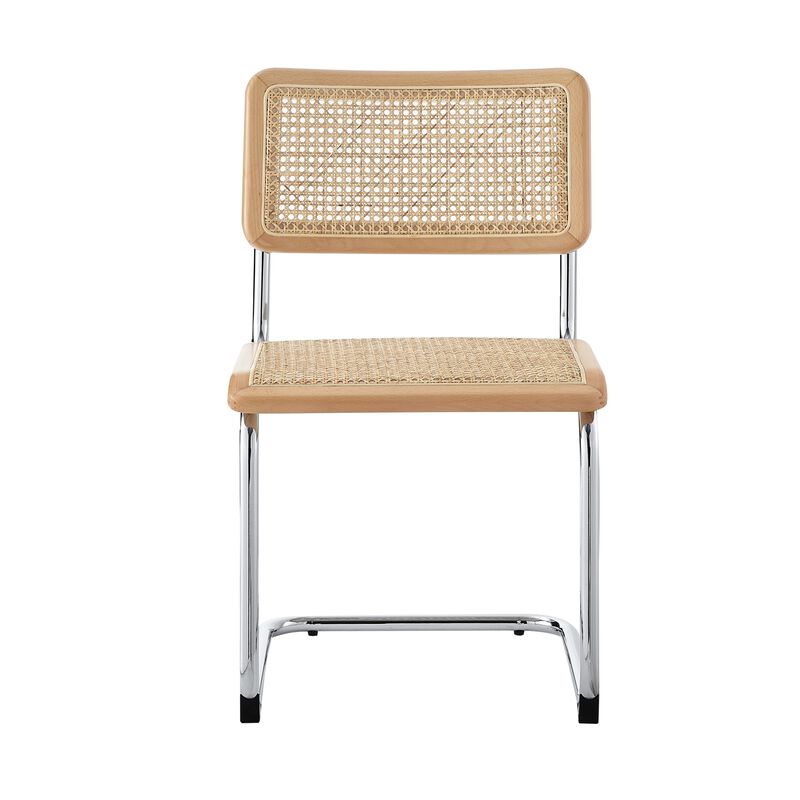 Loft Lyfe Ericka  Dining Chair (Set of 2)