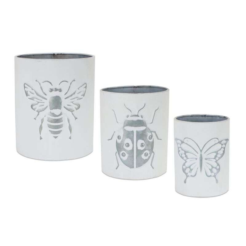 Brushed Insect Pot for Unique Plant Display and Garden Décor  (Set of 3)