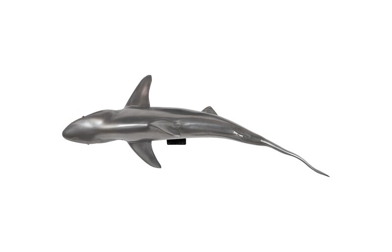 Whaler Shark Wall Sculpture