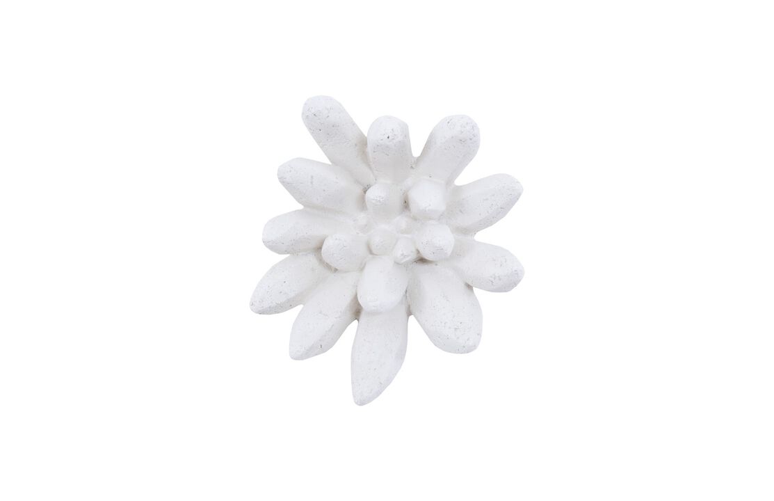 Compactum Succulent Wall Art in White