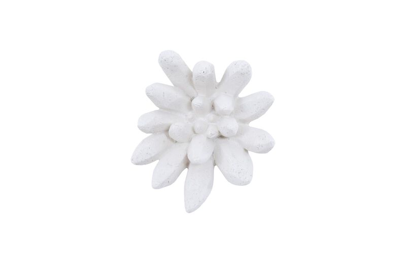 Compactum Succulent Wall Art in White
