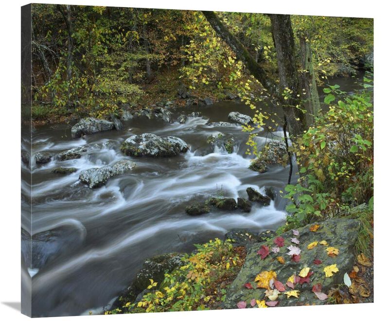 Little River, Great Smoky Mountains National Park, Tennessee-Canvas Art-30x26.4