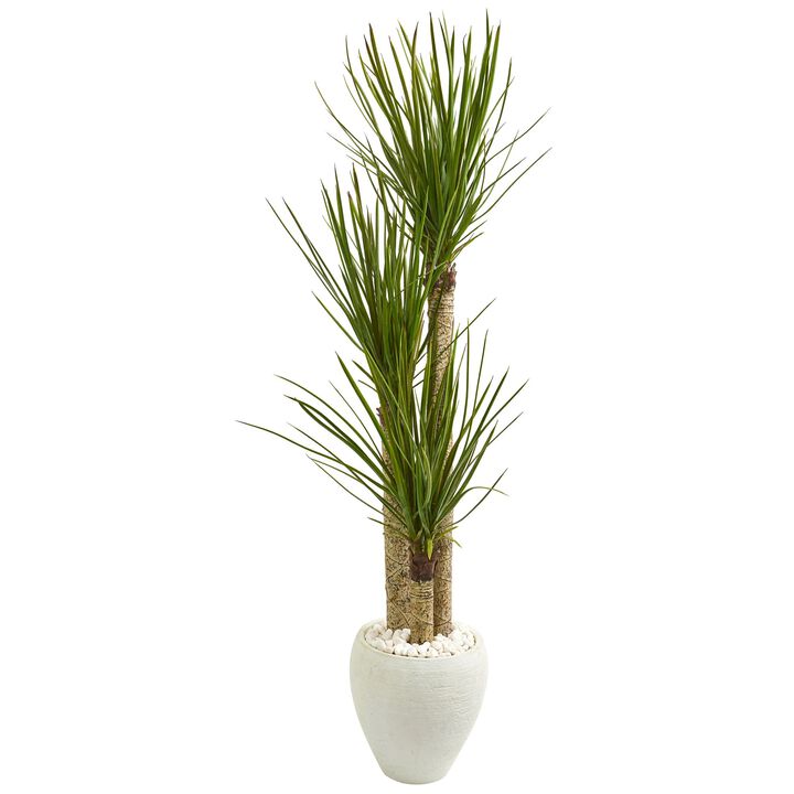 Hivvago 5.5 Feet Yucca Artificial Tree in White Planter Hivvago 5.5 Feet Yucca Artificial Tree in White Planter